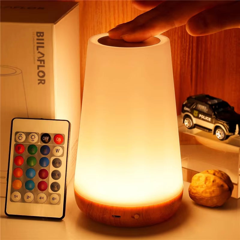 RGB Color Changing Dimmable Night Light with Remote Control - Portable USB Rechargeable Table and Bedside Lamp